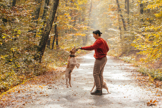 Woman having fun in a forest with her dogs early in an autumn morning. 