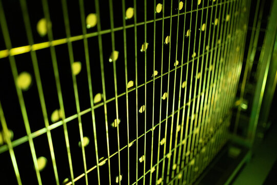 Wine Bottles at a Winery, Bottled Wine Production and Storage in a Traditional Cellar