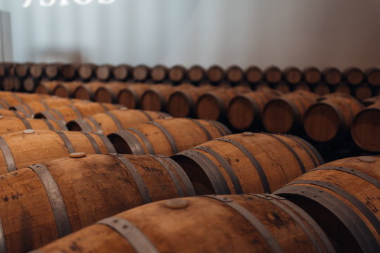 Oak Wine Barrels in a Traditional Winery Cellar, Wine Aging and Storage