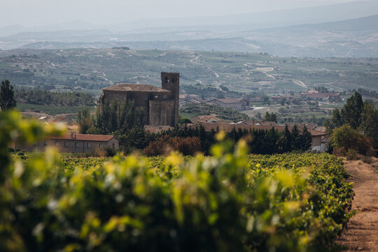French Vineyards and Wine-Growing Landscape in the French Countryside
