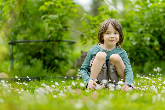 Young boy sitting among blooming daisies on a green lawn in a summer garden. Peaceful child enjoys nature and wildflowers during a relaxing day outdoors.