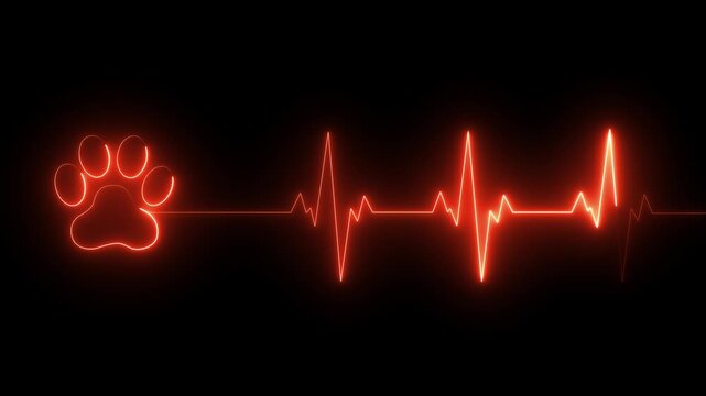 glowing neon Dog Paw Print Heartbeat Line icon Veterinary Healthcare ECG. Heartbeat icon with Paw Print Symbolizing Animal Health and Care. representing dedication in veterinary care and commitment.