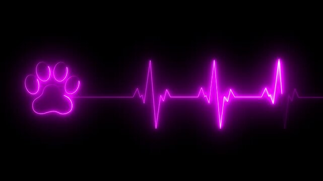 glowing neon Dog Paw Print Heartbeat Line icon Veterinary Healthcare ECG. Heartbeat icon with Paw Print Symbolizing Animal Health and Care. representing dedication in veterinary care and commitment.