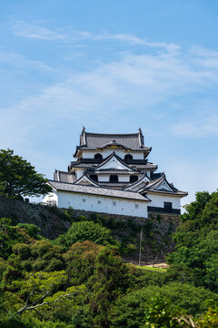 National Treasure Hikone Castle Keep viewed from Genkyuen Garden in Shiga, Japan.