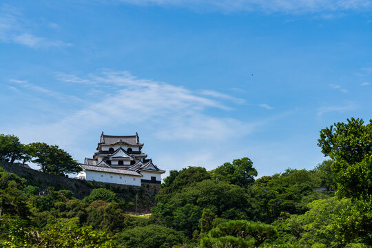 National Treasure Hikone Castle Keep viewed from Genkyuen Garden in Shiga, Japan.