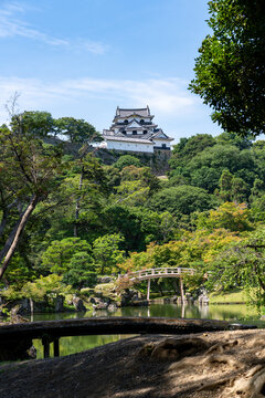 National Treasure Hikone Castle Keep viewed over the pond at Genkyuen Garden in Shiga, Japan.