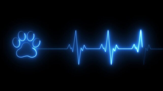 glowing neon Dog Paw Print Heartbeat Line icon Veterinary Healthcare ECG. Heartbeat icon with Paw Print Symbolizing Animal Health and Care. representing dedication in veterinary care and commitment.