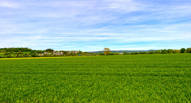 Weite gr&uuml;ne Wiese und Getreidefeld mit Blick auf Gr&uuml;ndau Rothenbergen, Hessen