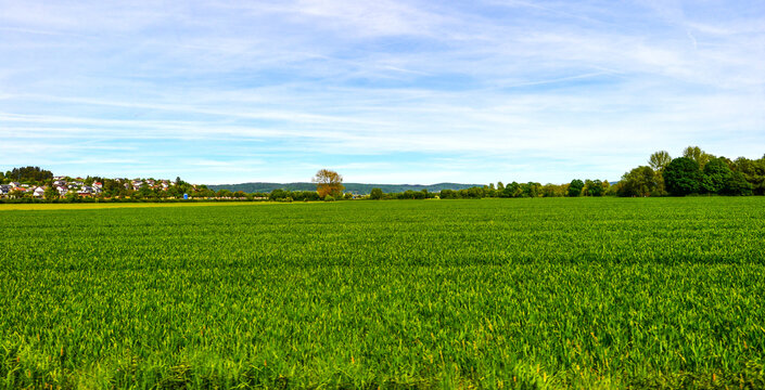 Weite gr&uuml;ne Wiese und Getreidefeld mit Blick auf Gr&uuml;ndau Rothenbergen, Hessen
