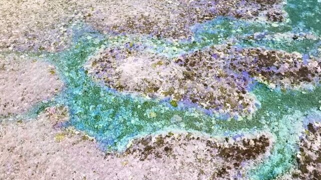 Aerial view of coral bleaching on a barrier reef. Serious consequences of climate change and global warming in the oceans.