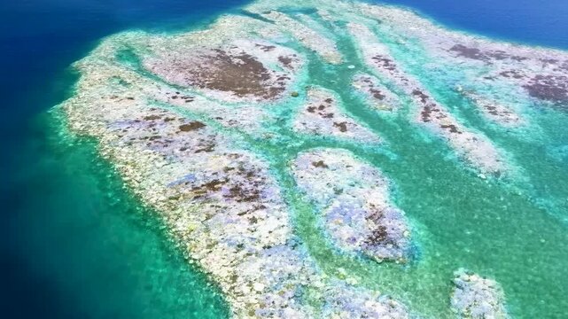 Aerial view of coral bleaching on the Australian Barrier Reef. Serious consequences of climate change on the oceans.

