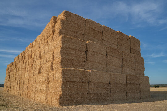 Large stack of hay bales arranged in a field under a blue sky during the daytime