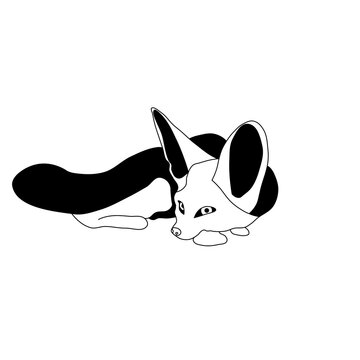 Cute Fennec Fox Minimalist Line Art Desert Animal