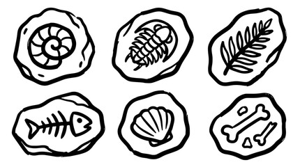 Black and white hand drawn fossils set © DzikriAdi