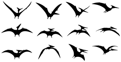 Pterodactyl Silhouettes Collection, 12 Flying Dinosaur Icons, Prehistoric Reptile Vector Graphics for Jurassic Era Designs © Habib