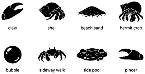 Ocean Life Icons: Hermit Crab, Claw, Shell, Beach Sand, Bubble, Sideway Walk, Tide Pool, Pincer Vector Set