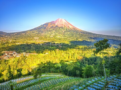mount merapi