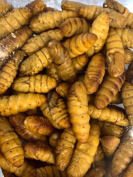 Cooked Silkworm Pupae. Edible Insects as Traditional Food, Protein Source and Asian Cuisine Ingredient