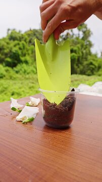 Vertical video. Hand Adds Potting Soil to a Clear Plastic Cup on a Wooden Table Outdoors, Demonstrating Home Gardening and Plant Growth Preparation