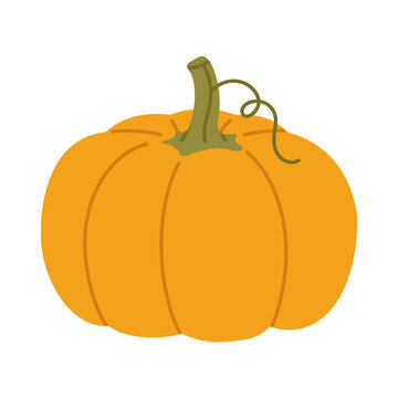 Cute hand-drawn pumpkin illustration in a warm autumn style, featuring a simple rounded shape and curling stem for fall, harvest, Halloween, Thanksgiving and seasonal designs.