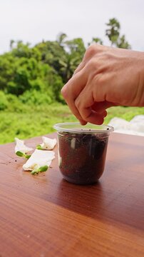 Vertical video. Hands Make a Planting Hole in Potting Soil inside a Clear Plastic Cup, Preparing the Container for Transplanting a Young Seedling Outdoors