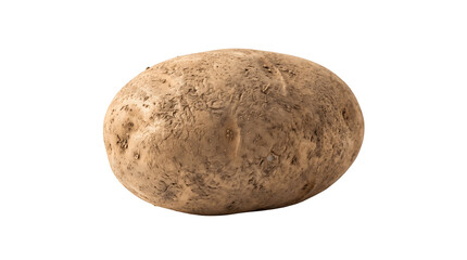 Fototapeta premium A single raw potato with dirt on its skin isolated on transparent background