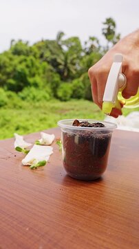 Vertical video. Bare Hand Sprays Dark Soil With a Handheld Bottle in an Outdoor Garden, Showing Home Gardening and Plant Care