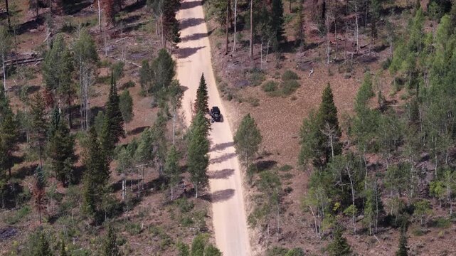 Aerial of UTV off roading on dirt road Soapstone Pass in Uinta Wasatch Cache National Forest Utah in summer
