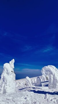 山形蔵王の美しい樹氷
