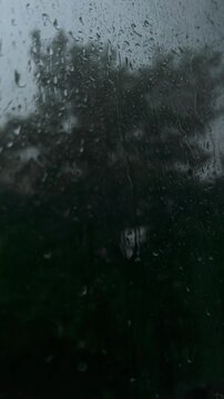 Cinematic heavy rain drops trickling down window glass with blurred dark tree silhouettes, isolated