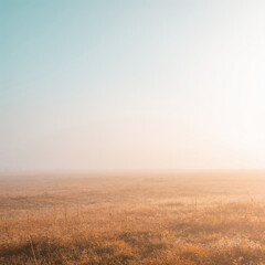 Obraz premium Golden morning sunbeams breaking through thick autumn fog over rolling hills and golden birch trees