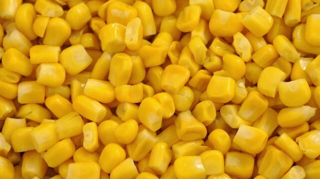 Sweet corn kernels. Sweet yellow canned corn. Fresh corn kernels. Slowly rotating in a circle	
