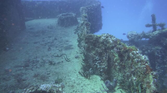 Camera surveys an encrusted porthole area and nearby gun structure on C-56 Juan Escutia shipwreck in Puerto Morelos, Quintana Roo, Mexico.