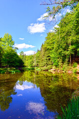 Fototapeta premium Der Haselweiher bei Gründau, Hessen 