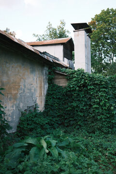 Overgrown vegetation covers the weathered exterior of an old building with cracked walls and aging architectural details