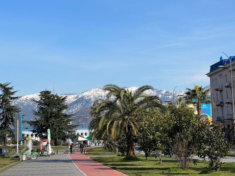 Palm lined seaside boulevard in Batumi with snow covered mountains in the distance.