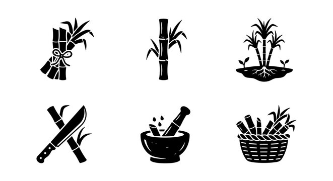 Sugarcane Icons Set: Harvest, Cultivation, Processing, Vector Graphics