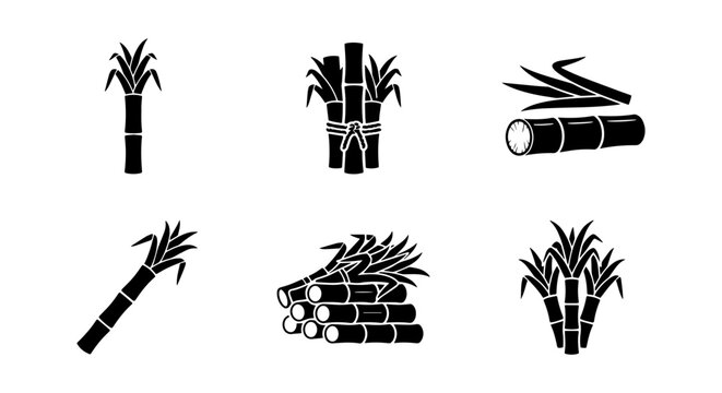 Sugarcane Vector Icons Set: Sweetener Plant Stalks, Harvested Stems, Tropical Agriculture Illustrations