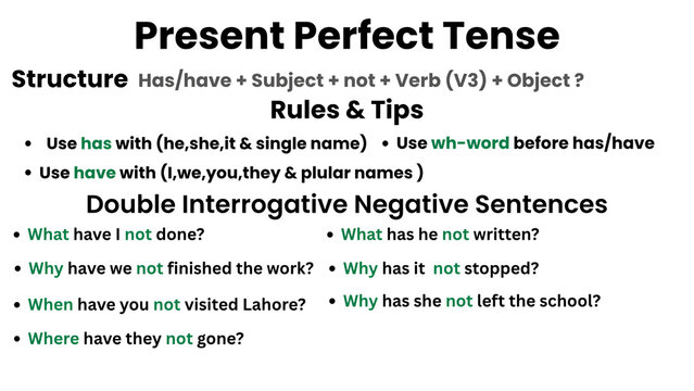 Present Perfect Tense Double Interrogative Negative Sentences | Rules & Examples