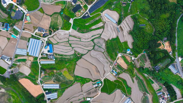 Top down 4K drone view of Yeosu Dolsan farmland fields and rural patterns in August