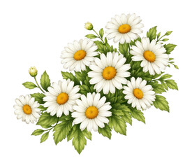 Obraz premium PNG White daisy bouquet illustration with lush green leaves