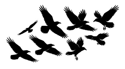Fototapeta premium Halloween raven silhouettes set. Flying crow icons for spooky gothic design elements.