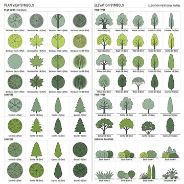 Professional landscape symbols and architectural tree blocks set with plan and elevation views for garden design and architectural site mapping