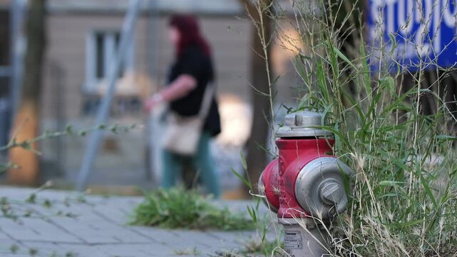 Red fire hydrant overgrown with weeds in busy city street