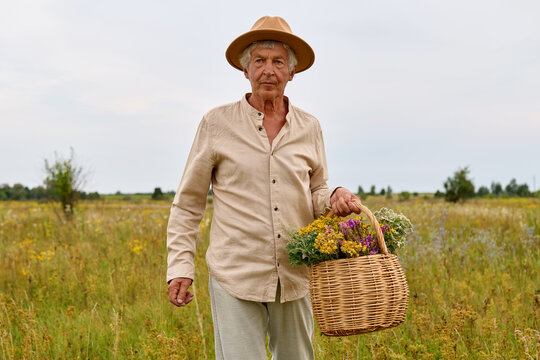 An herbalist stands in a field under a gray sky. He holds a basket filled with different medicinal herbs. The scene shows tall grass and wildflowers around him