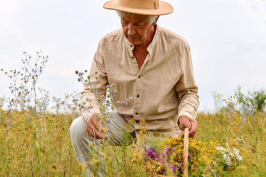 A man kneels in a field gathering different types of herbs and flowers while holding a basket. He appears focused on his task under a clear sky
