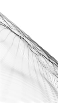 Abstract White Digital Mesh Vertical Background Loop
Abstract background with white digital fractal particle lines waving in a  seamless loop