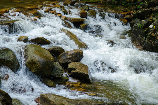 Clear Stream Flowing Over Rocks in Forest Nature Scene