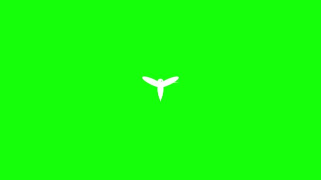 Minimalist white hummingbird silhouette flying in rhythmic motion for digital graphic design loop video clip asset