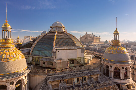 Elevated view of decorative domes and historic rooftops in central Paris, France, under a clear blue sky and warm daylight.